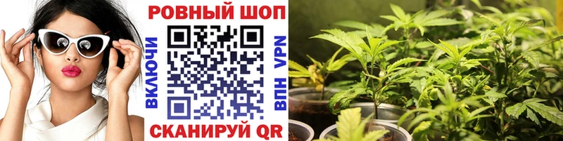 Где купить Западная Двина КОКАИН  МЕФ  ГАШИШ  APVP  МАРИХУАНА 