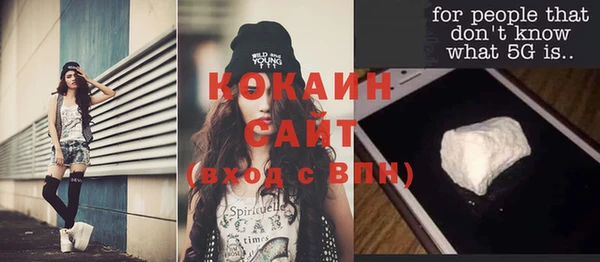 индика Баксан