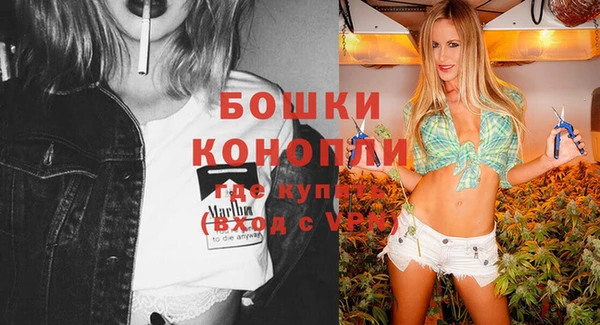 амф Белокуриха