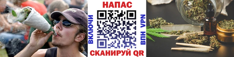 Канабис индика  Западная Двина 